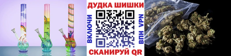 Бошки Шишки марихуана  Элиста 